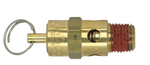 1/4" NPT Pressure release safety valve - 200psi