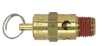 1/4" NPT Pressure release safety valve 160psi